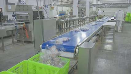 宁夏盐池滩羊春节走俏市场，上海网络技术助推品牌升级