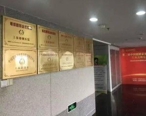 上海维情网络科技股份 以网络技术守护婚姻与情感